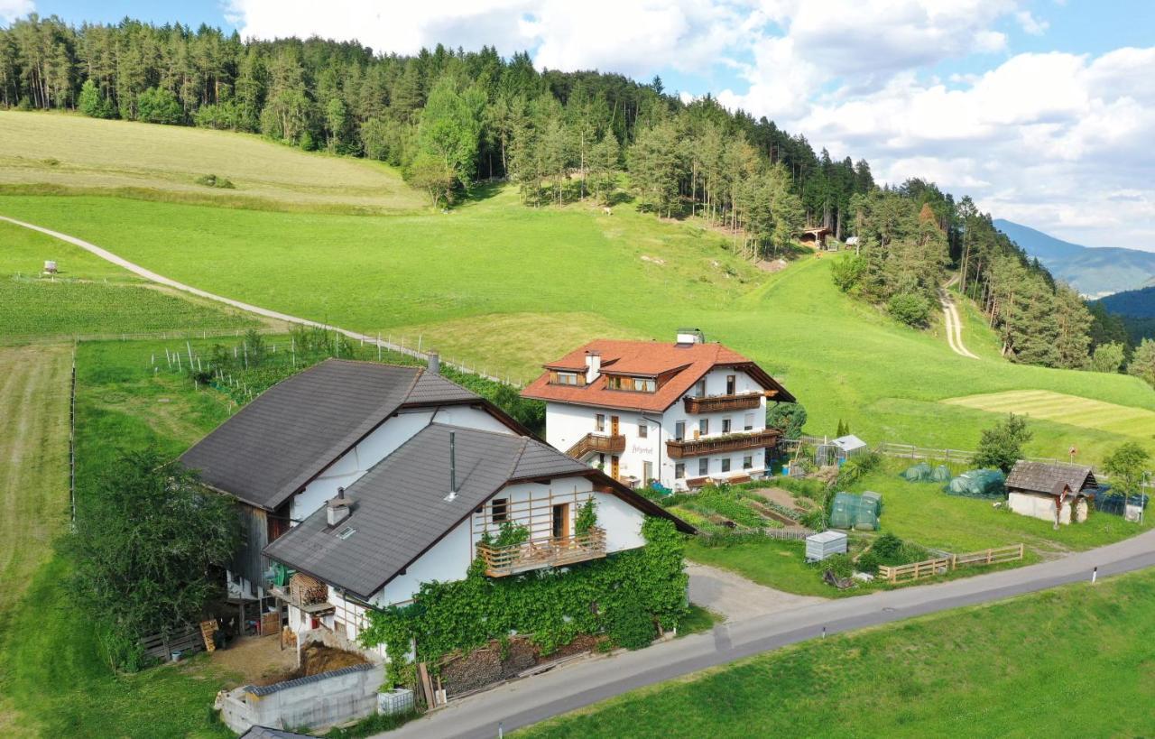 Holzerhof Lothen Campolino 5 Sankt Lorenzen Exterior photo